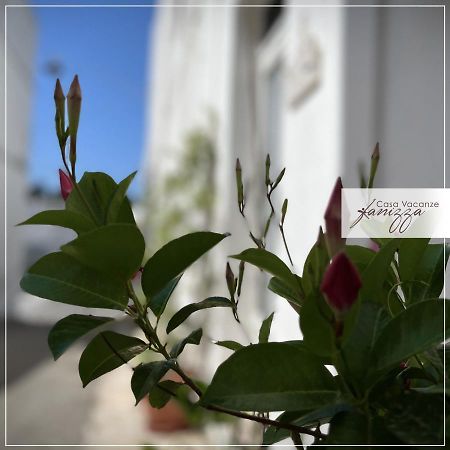 Rebecca E Sofia Stone House Affittacamere 阿尔贝罗贝洛 外观 照片